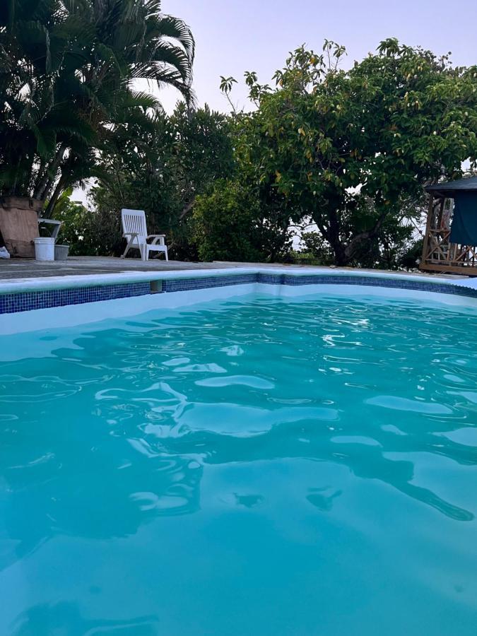 Jamaica Colors Hotel And Eco-Retreat 포트안토니오 외부 사진