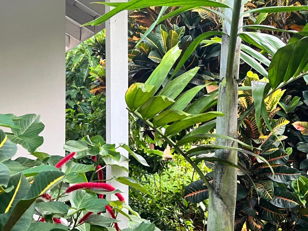 Jamaica Colors Hotel And Eco-Retreat 포트안토니오 외부 사진