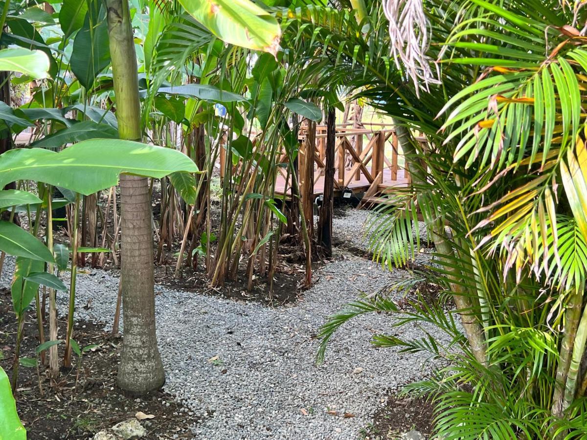 Jamaica Colors Hotel And Eco-Retreat 포트안토니오 외부 사진