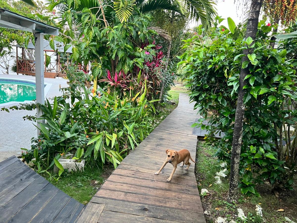Jamaica Colors Hotel And Eco-Retreat 포트안토니오 외부 사진