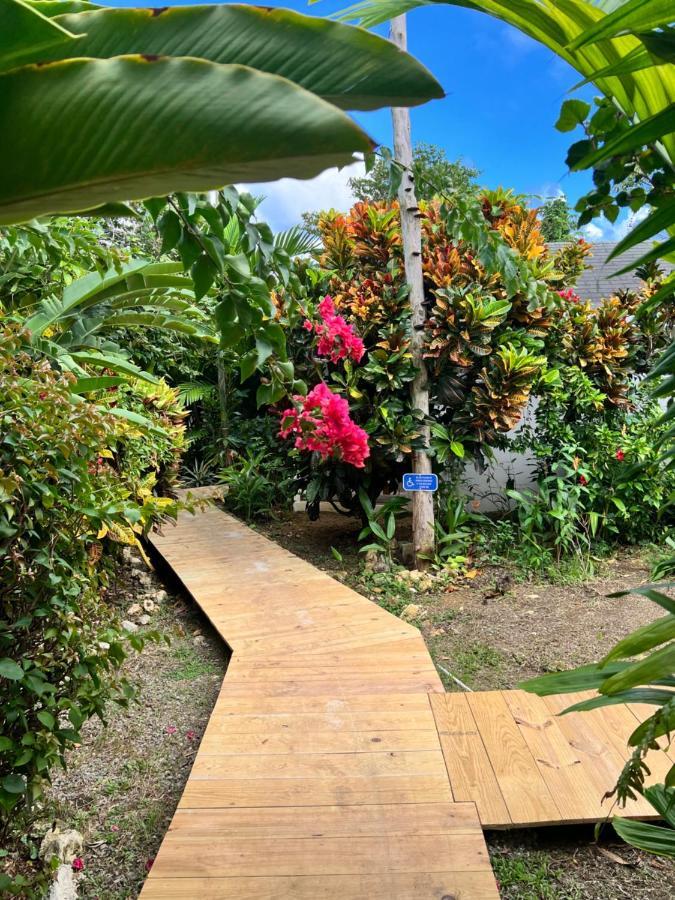 Jamaica Colors Hotel And Eco-Retreat 포트안토니오 외부 사진
