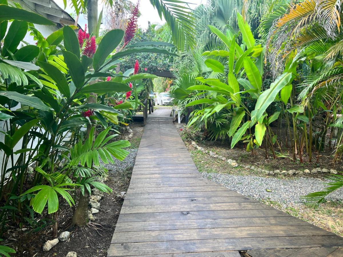Jamaica Colors Hotel And Eco-Retreat 포트안토니오 외부 사진