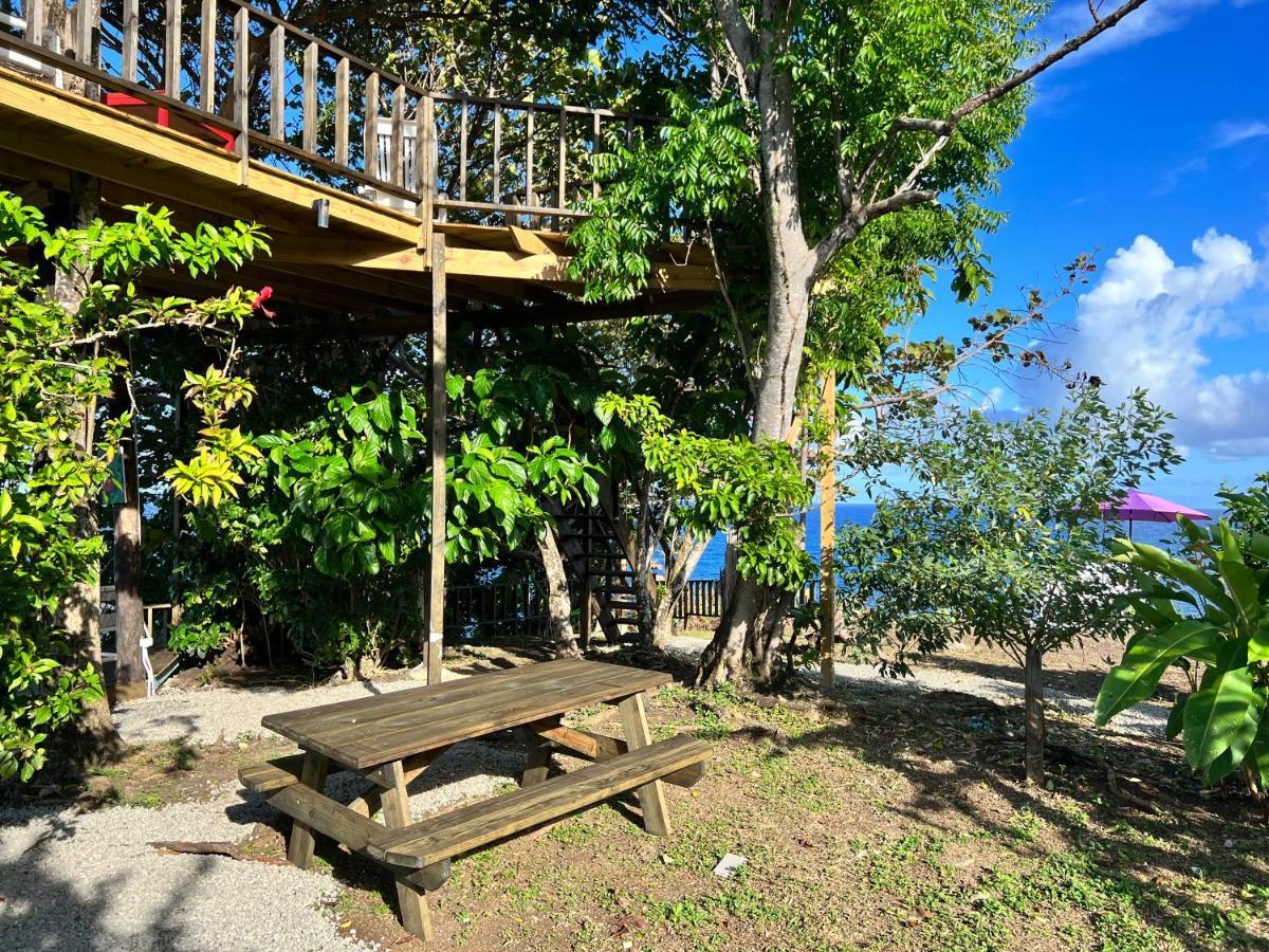 Jamaica Colors Hotel And Eco-Retreat 포트안토니오 외부 사진