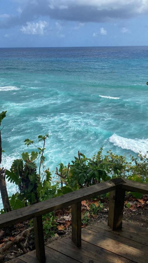 Jamaica Colors Hotel And Eco-Retreat 포트안토니오 외부 사진