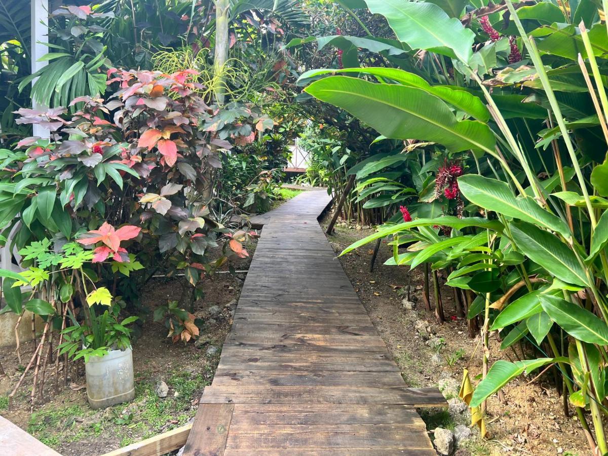 Jamaica Colors Hotel And Eco-Retreat 포트안토니오 외부 사진