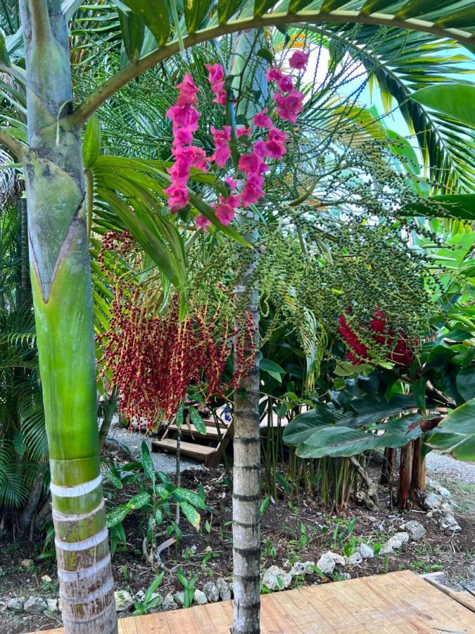 Jamaica Colors Hotel And Eco-Retreat 포트안토니오 외부 사진