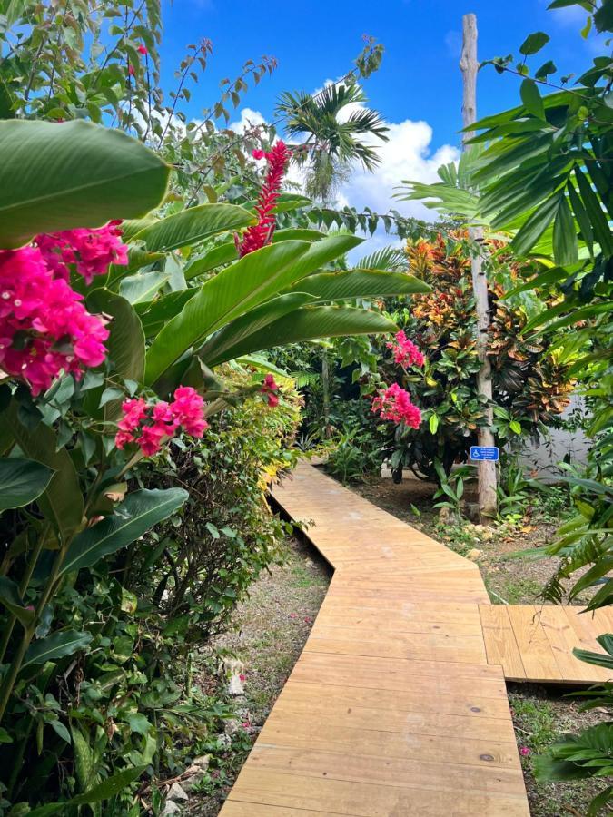 Jamaica Colors Hotel And Eco-Retreat 포트안토니오 외부 사진