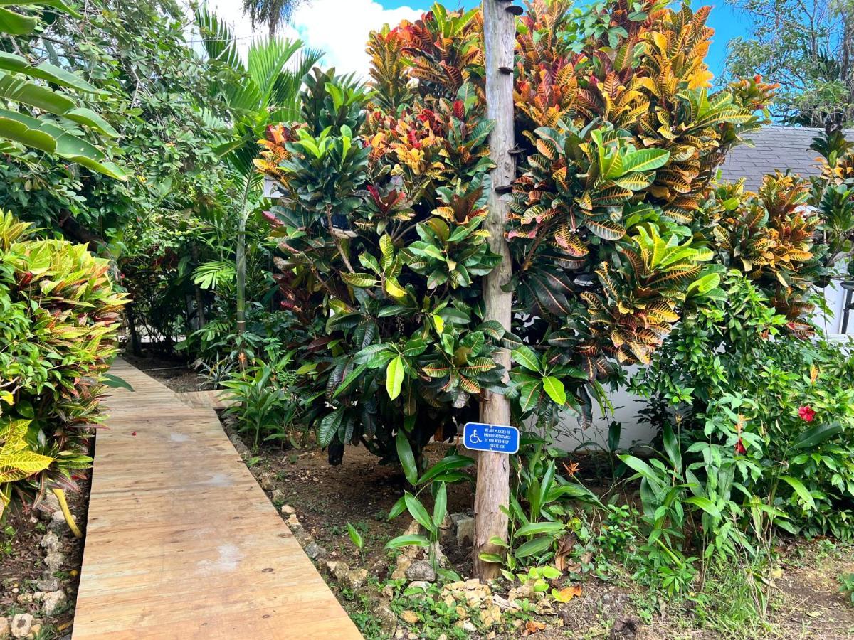 Jamaica Colors Hotel And Eco-Retreat 포트안토니오 외부 사진